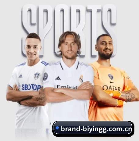 brand-biyingg.com.cn的方向